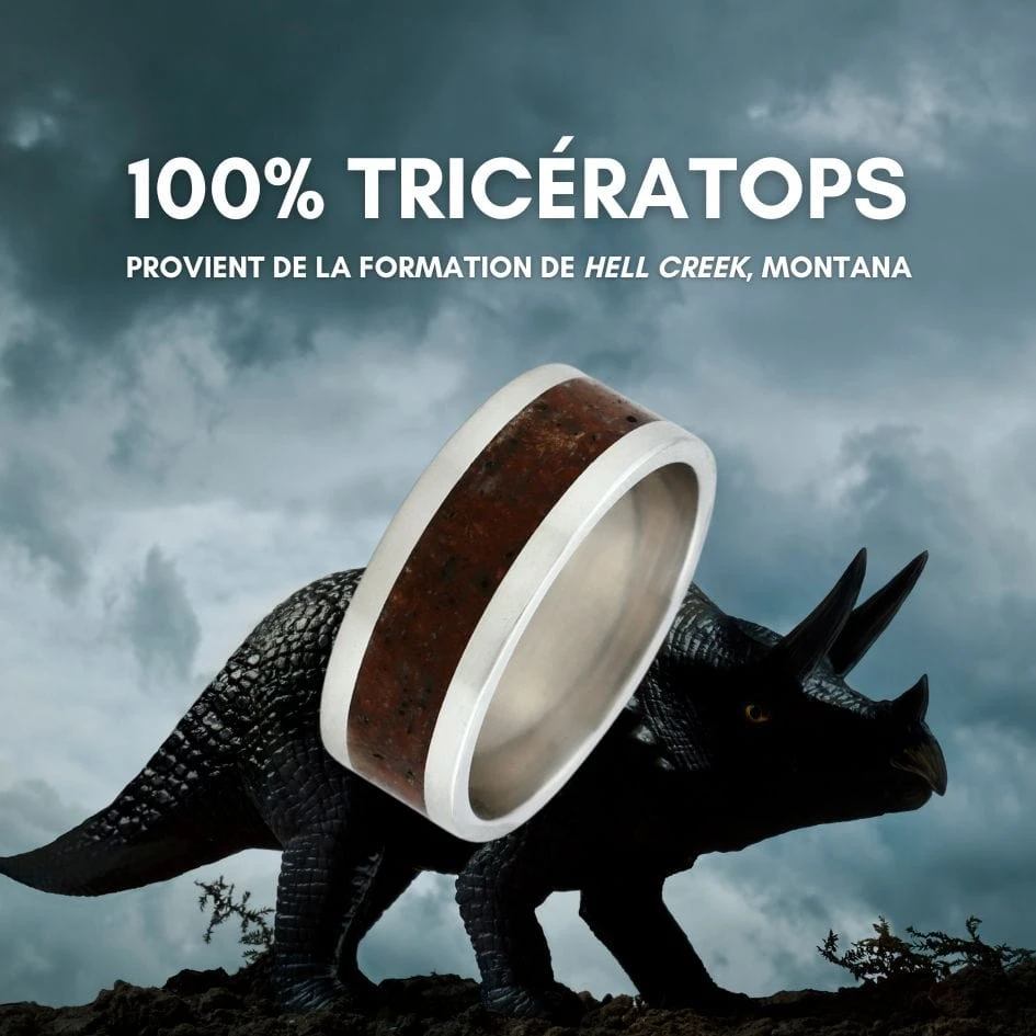 Bague Triceratops du Montana et argent sterling ou or 14K - 18K Bague Triceratops Du Montana Et Argent Sterling Ou Or 14K - 18K -Mathieu Blan Chard Soldes bague triceratops du montana mathieu blanchard jonc triceratops du montana en argent 925 or 14k ou or 18k mathieu blanchard mathieu blanchard joaillerie 1176013855