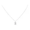 Collier Protecteur Diamant Noir Et Argent Sterling