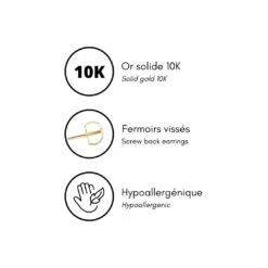 Boucles D'oreilles Classiques En Or Jaune Ou Blanc 10K Et Moissanites 13 Boucles D'oreilles Classiques En Or Jaune Ou Blanc 10K Et Moissanites -Mathieu Blan Chard Soldes mathieu blanchard boucles d oreilles boucles d oreilles classiques en or jaune ou blanc 10k et moissanites 38361673728248