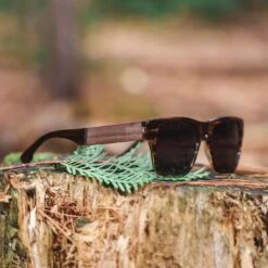 Lunette De Soleil Roadtrip XL Ambre En Bois 3 Lunette De Soleil Roadtrip XL Ambre En Bois -Mathieu Blan Chard Soldes roadtripmadewood lunettes de soleil lunette de soleil roadtrip xl ambre en bois 37103894626552